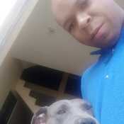 paull833