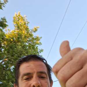 EndearingCaregiver4f092
