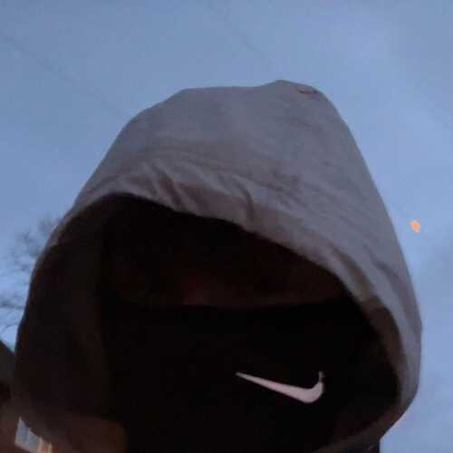 lewisbew688