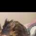 Tequila's profile picture