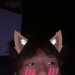 AdorableRunner98f40c's profile picture