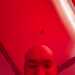 Bryan Dobson 's profile picture