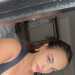 Amorous's profile picture