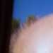 Nutty 's profile picture