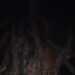 AttractiveRebeljabedi's profile picture