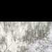 Haydo's profile picture