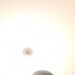 Alameen's profile picture