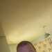 MRGOWEN43's profile picture