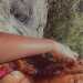 Isa's profile picture