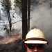 Wildland69's profile picture