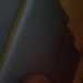 Kimberly's profile picture