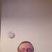 Rocheman's profile picture