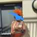 CaringAthlete64's profile picture