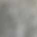 MysteriousVisionary's profile picture