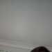 Heretoplease's profile picture