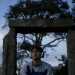 CaringWanderer113c3c's profile picture