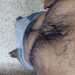 Chandru's profile picture