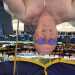 Stimmo1326's profile picture