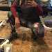 looking for sex is Mistress Stacy , 33 from from Ohio City