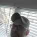 Shmails's profile picture