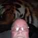 Graeme's profile picture