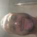 Chumley36's profile picture