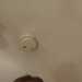 Stugal's profile picture