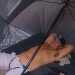 ConfidentMaverick71c92d's profile picture