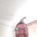 Towertosher's profile picture