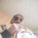 SalEdi's profile picture