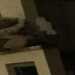 Casali999's profile picture