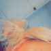 Jodie's profile picture
