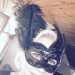 Mistress.Black.Dahlia 's profile picture