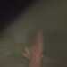 DazzlingFoodie20bd16's profile picture