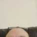 Stallion's profile picture
