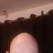 DelightfulScholar831e1d's profile picture