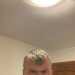 EasygoingBossidibdi's profile picture