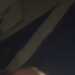 ElegantCharmer's profile picture