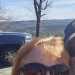 NCCouple4U's profile picture