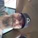 Dave's profile picture