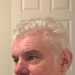 Pologent's profile picture