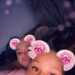 EngagingPrince37ed01's profile picture