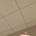 Scarletpimponel's profile picture