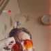 pppp's profile picture