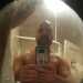 boobfan's profile picture