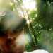 ExcitingPoet's profile picture