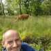 Sheepy1968's profile picture