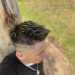 Lalo33's profile picture