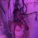 FlirtyCompanion878bfe's profile picture