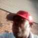 Sensa2's profile picture